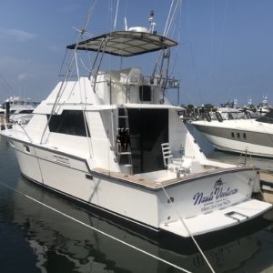 Nauti2 Nauti2